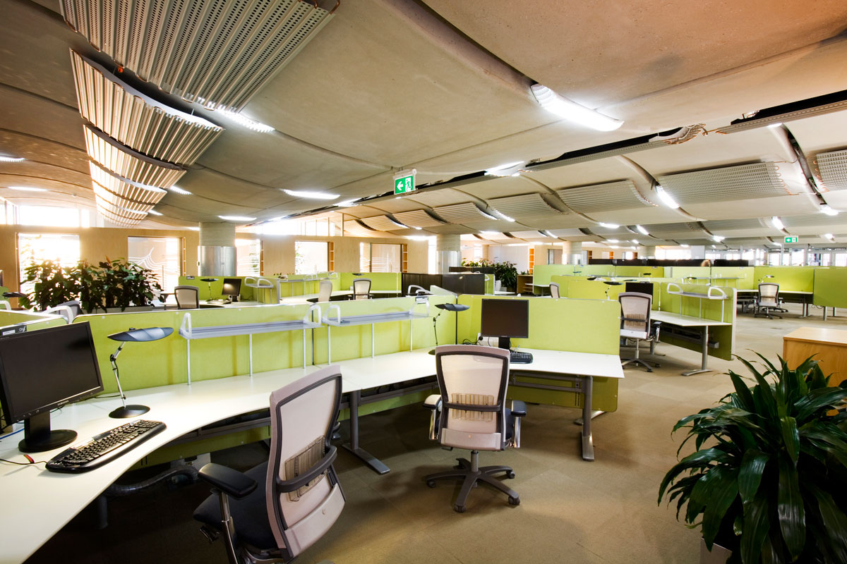 The office space is open plan with many indoor plants among the desks, and lime-green dividers separating the cubicles