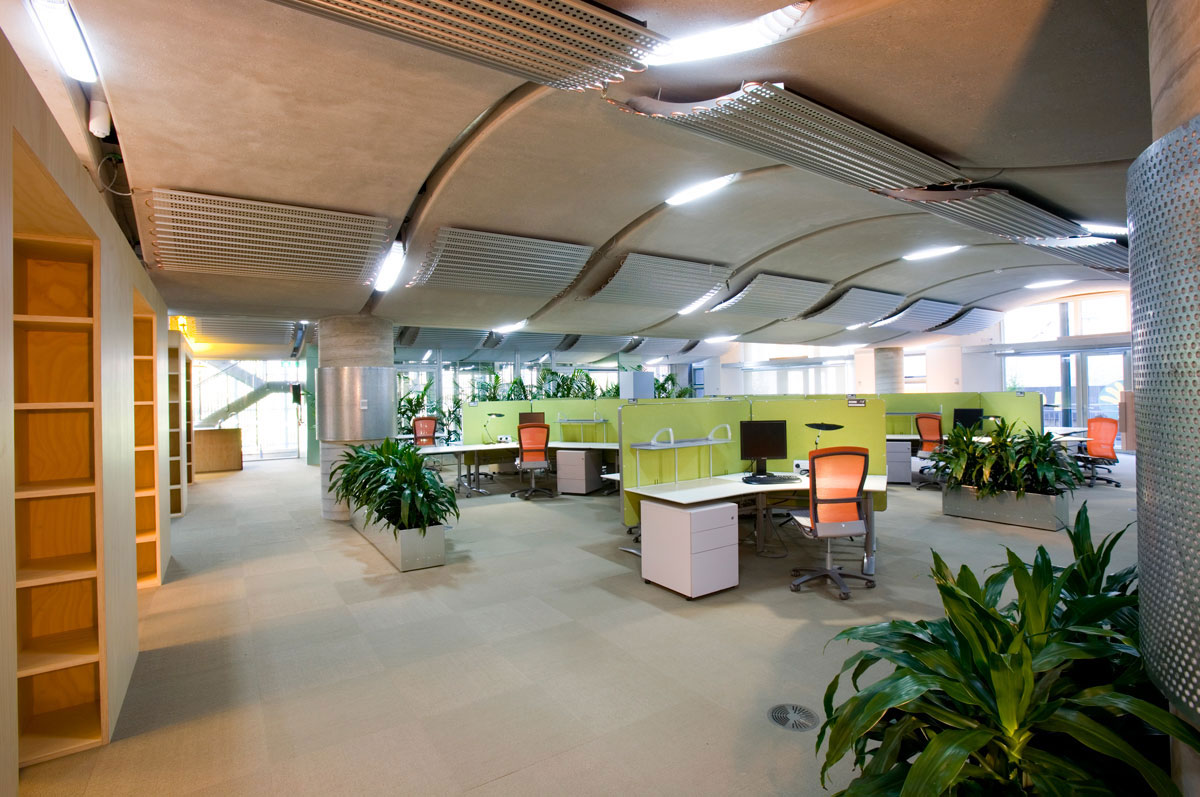 A wider view of the office space showing cubicles spread out on the floor, large plants used for separation and a corridor alongside lined with narrow shelves