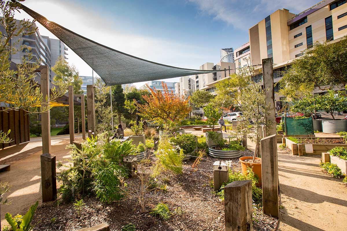 A community garden in Docklands Park with a variety of native plants and shrubs in planter boxes and garden beds, under a shadecloth.