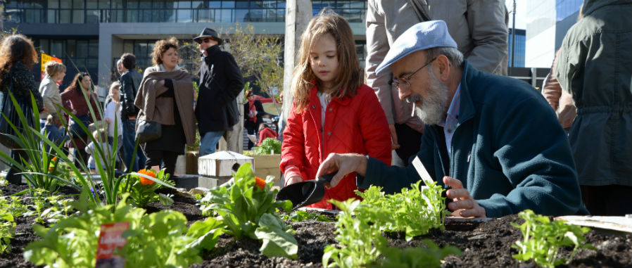 An older man and a young girl look at lettuces in a garden bed.