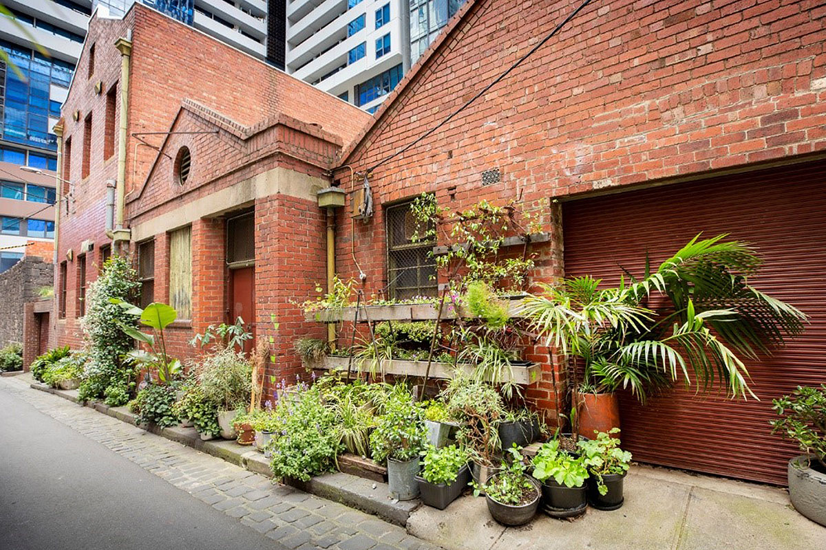 City laneway with plants and shrubs