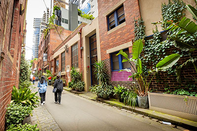 Laneway lined with large plants in pots and planter boxes