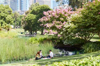 Three people having a picnic in a park near the Melbourne CBD