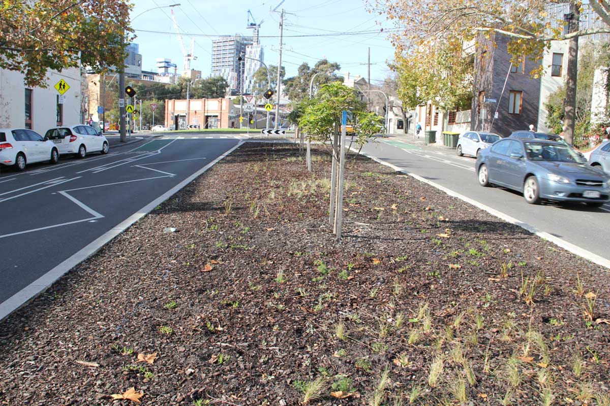 Wide median strip in the middle of a street, planted sparsely with small trees and young plants
