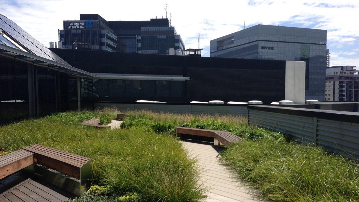 Rooftop garden with city buildings at rear