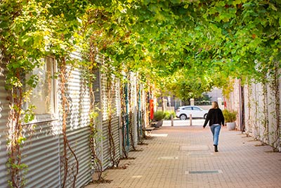 Person walking through a brick-paved laneway, shaded by a leafy canopy.