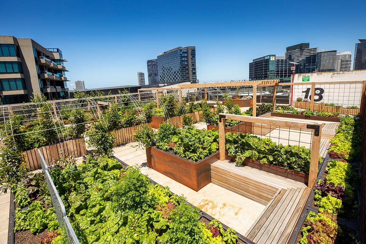 The rooftop space with wooden bench seating among plentiful garden beds with trellises and planted with herbs, vegetables and small trees.