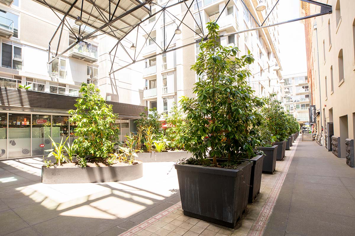 The passageway now contains a row of large black planter boxes with lush sub-tropical trees and plants.