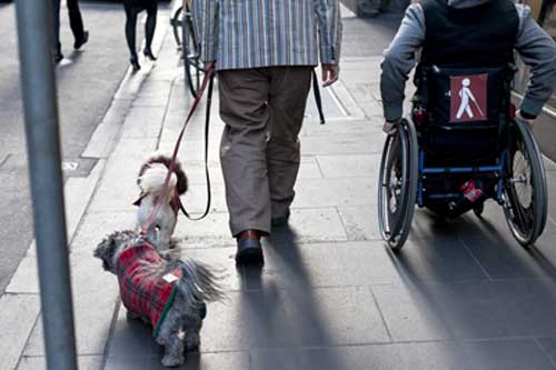 Person in a wheelchair and person walking a dog on a footpath